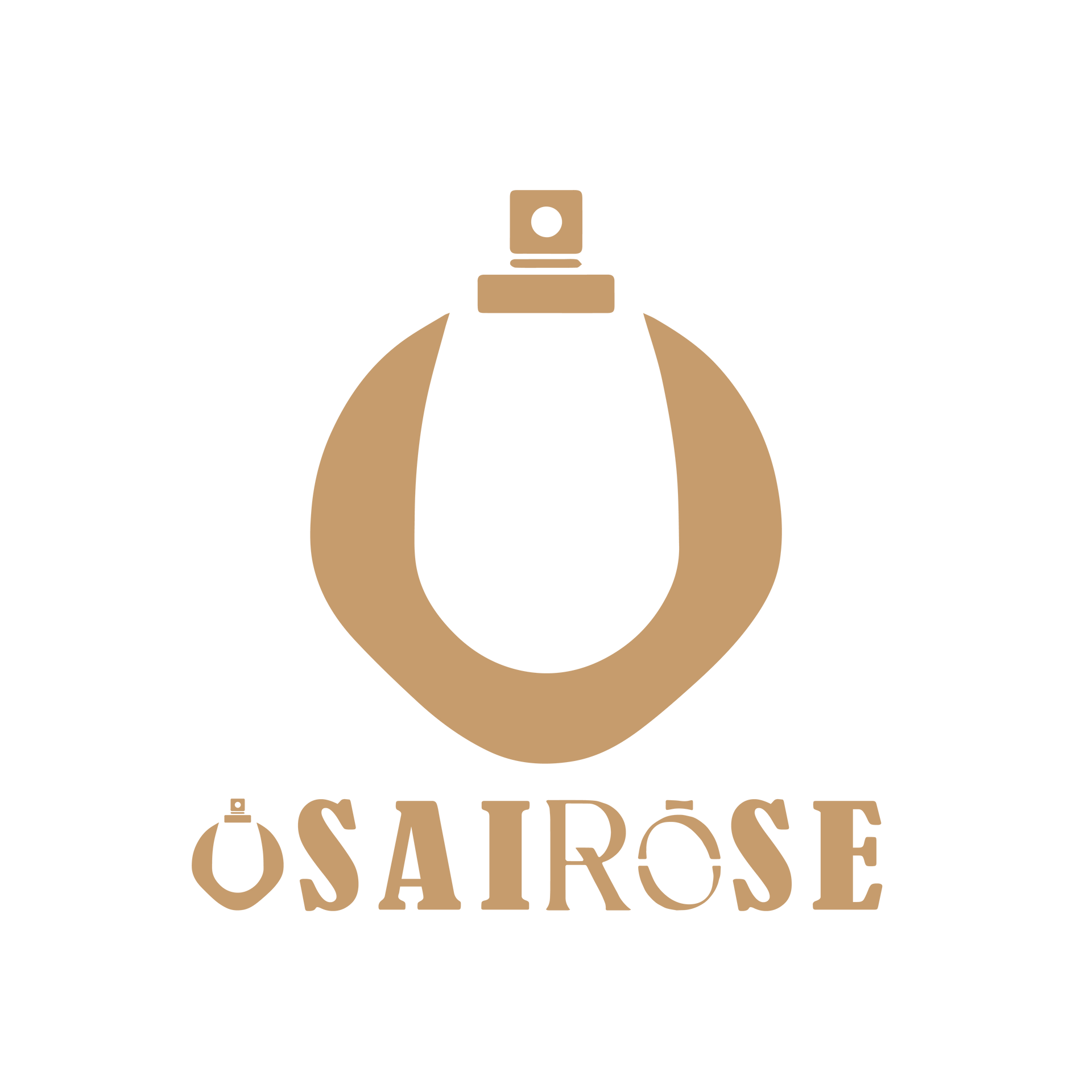 Welcome to usairose